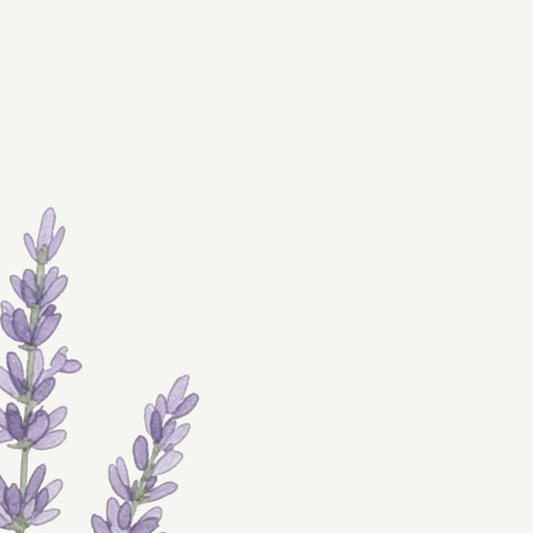 Sourdough Vineyard Boule