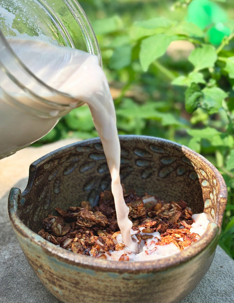 Peanut Butter Chocolate Chip Granola